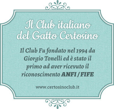 club_italiano